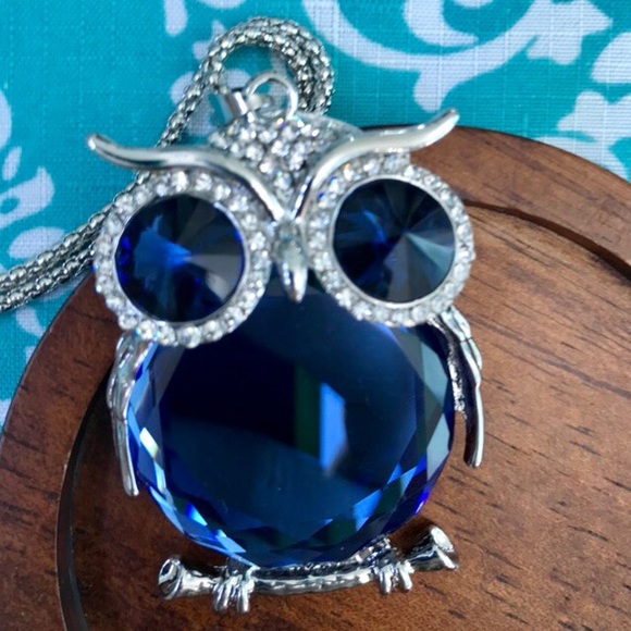 NEW!💎💙💎BIG BLUE OWL🦉STATEMENT NECKLACE BIRD - Picture 2 of 8